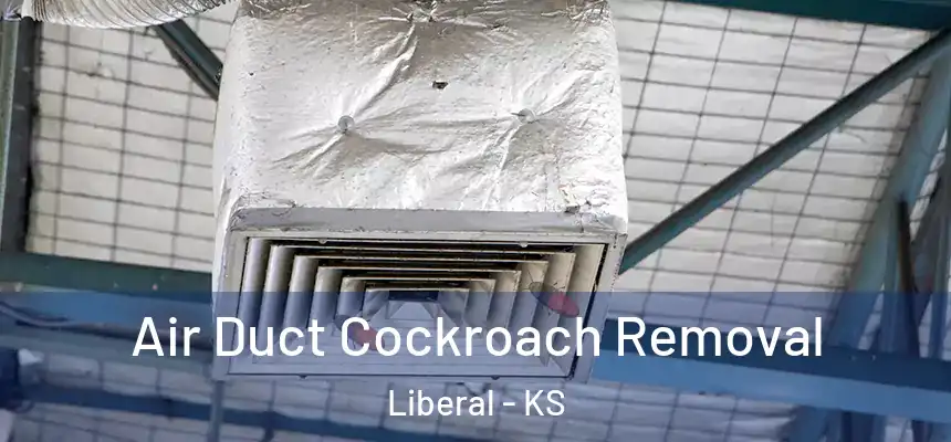 Air Duct Cockroach Removal Liberal - KS