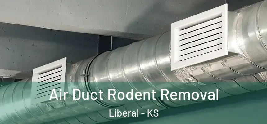  Air Duct Rodent Removal Liberal - KS