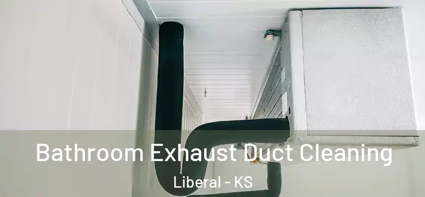 Bathroom Exhaust Duct Cleaning Liberal - KS