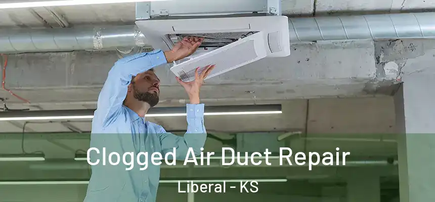  Clogged Air Duct Repair Liberal - KS