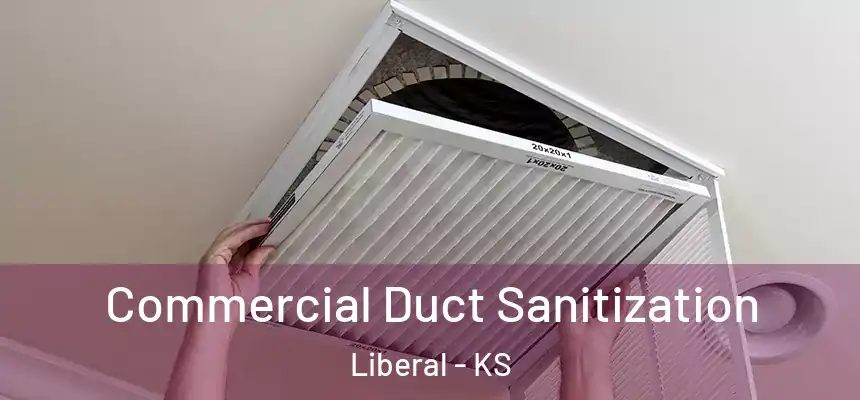  Commercial Duct Sanitization Liberal - KS