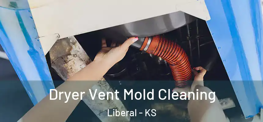  Dryer Vent Mold Cleaning Liberal - KS
