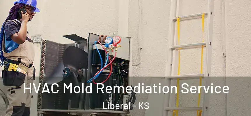  HVAC Mold Remediation Service Liberal - KS