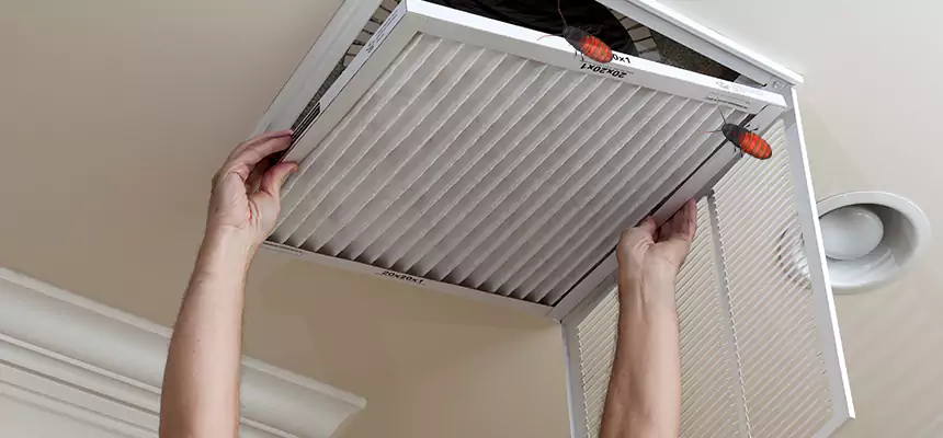 Preventive Cockroach-Proofing for Ducts in Liberal