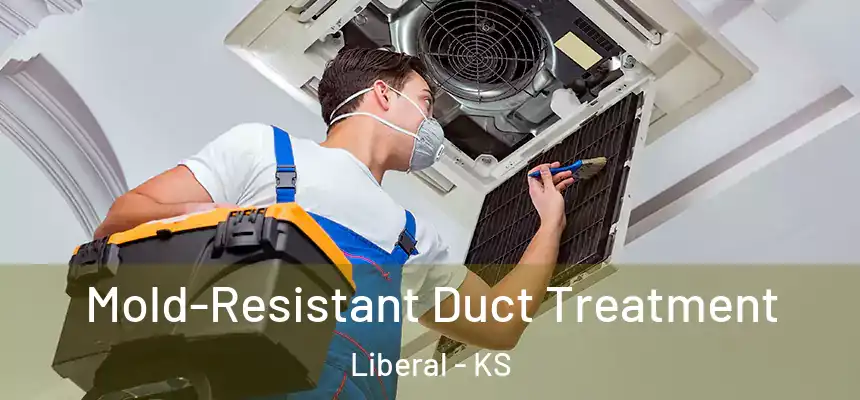  Mold-Resistant Duct Treatment Liberal - KS
