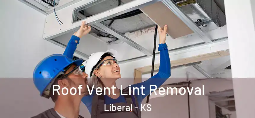  Roof Vent Lint Removal Liberal - KS
