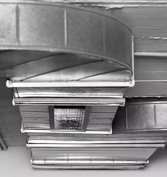 Professional Air Duct Pest Removal in Liberal, KS