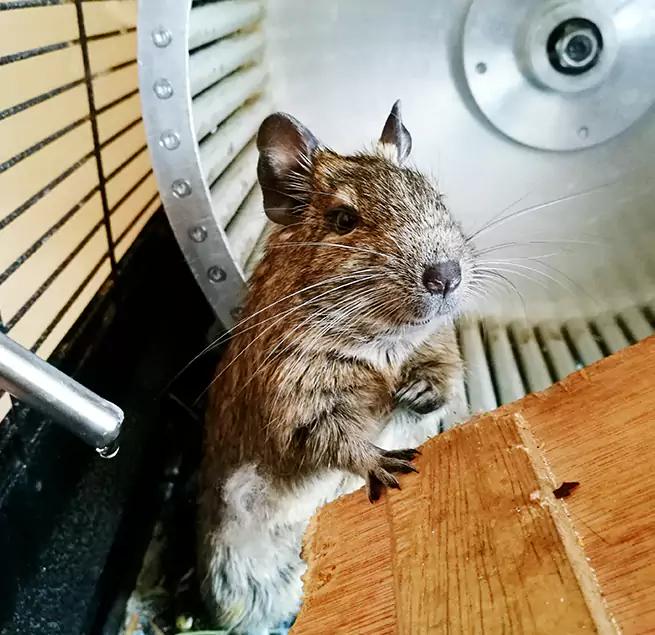 Why Homeowners & Businesses Trust Us Liberal, KS